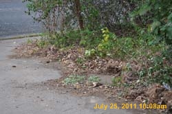 Entergy 143